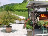 Agriturismo_Ca_Leonilda_spiedo